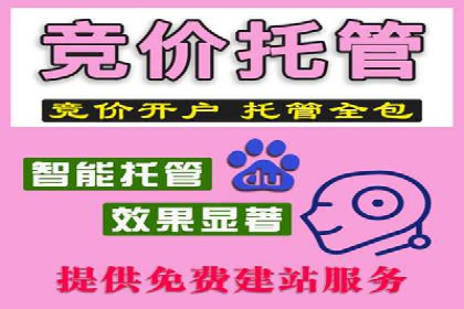 信息流广告代运营公司：成功案例解析与策略分享